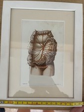 Vintage Anatomisches Herz