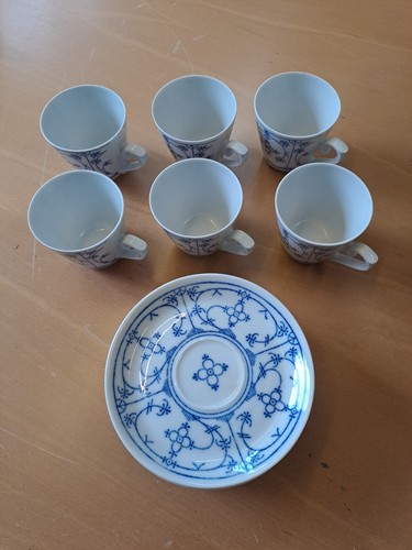 Winterling indisch blau - winterling,