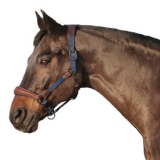 Halfter Leder Nylon Euroriding