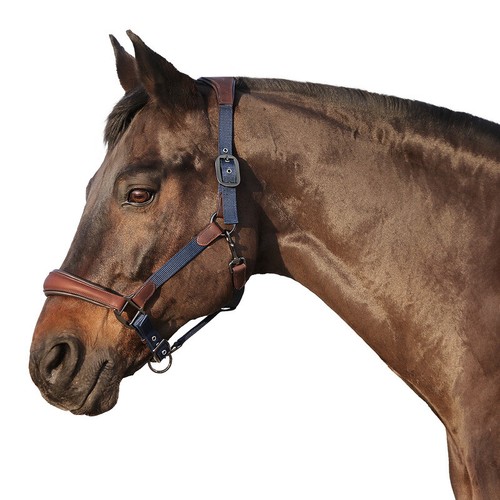 Halfter leder nylon euroriding - halfter,