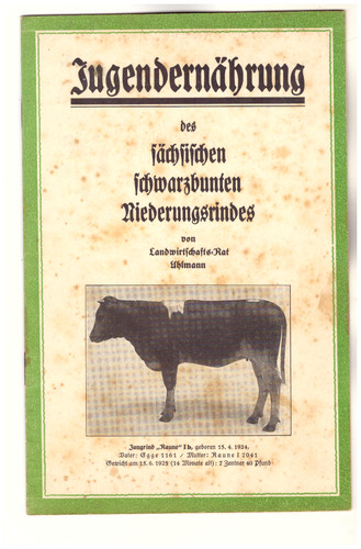 Heft rinder zucht - rinder,