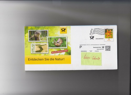 Plusbrief taglilie - plusbrief, 0,30
