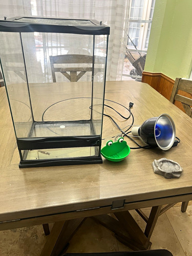 Vertical terrarium bundle with - vertical,
