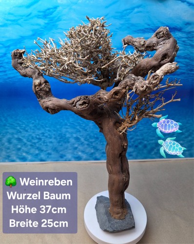 Neu garnelen bäumchen - neu,