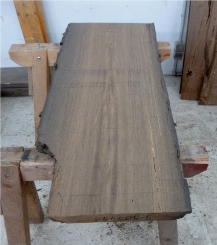 Mooreiche moorholz - mooreiche,