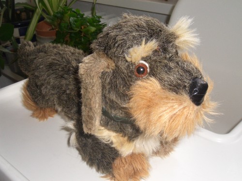 Steiff rauhaardackel raudi - steiff,