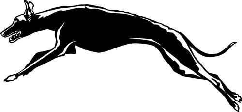 Galgo aufkleber - aufkleber,