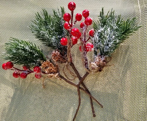 Tanne picks weihnachten - 5,
