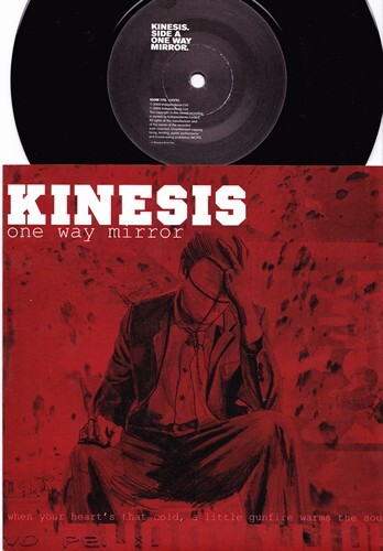 Kinesis one way mirror 7 - ,