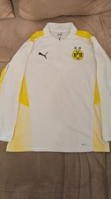 BVB Borussia Dortmund