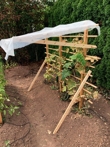 Rankgitter mit sonnenschutz - mit,