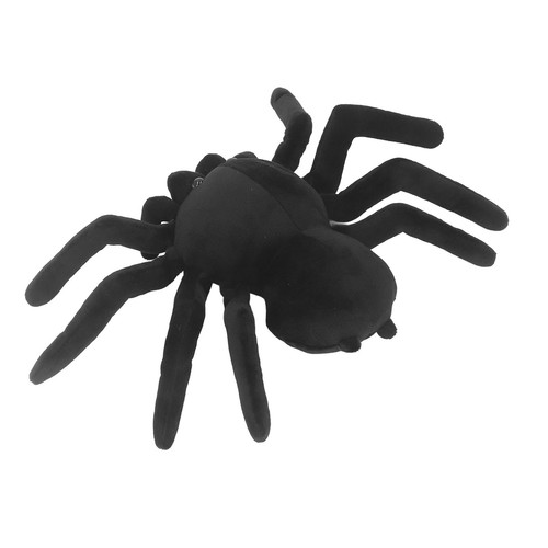 Schwarze spinne - (typ,