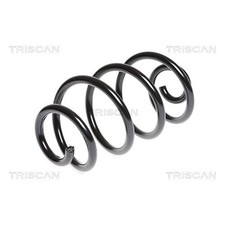Triscan Feder hinten für
