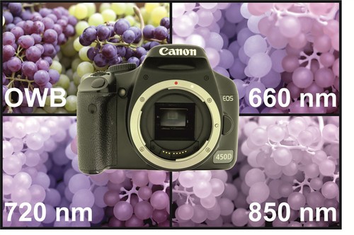 Canon eos 450d - eos,