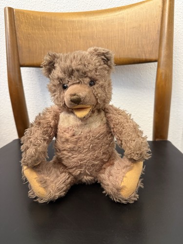 Steiff teddy sammler - teddy,,