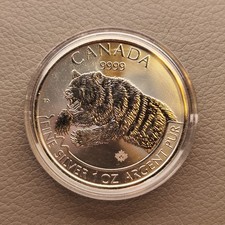 Kanada 2019 5 Dollars "Canadian Wildlife - Bär" 1Oz Feinsilber 9999