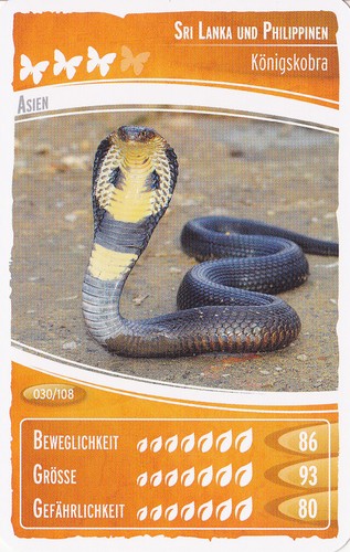 Netto ozeanien - ,
