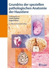 Grundriß der speziellen
