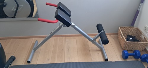 Rückentrainer