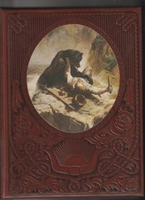 +++ TIME LIFE +++ DER WILDE