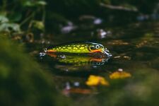 Rapala Wobbler X-Rap 10 - XR10 - Limited Edition - PSP - Poison Pike