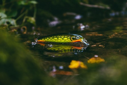Rapala wobbler rap - wobbler, xr10