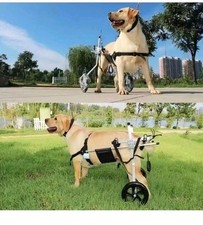 Hunderollstuhl für Gelähmte