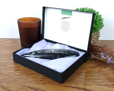 Großes Orthoceras Nautiloid