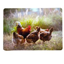 Traumduft Dekoset Tischset