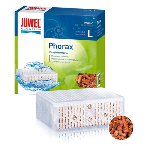 Juwel phorax - juwel,