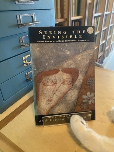 Maxwell tschudin seeing - seeing, the