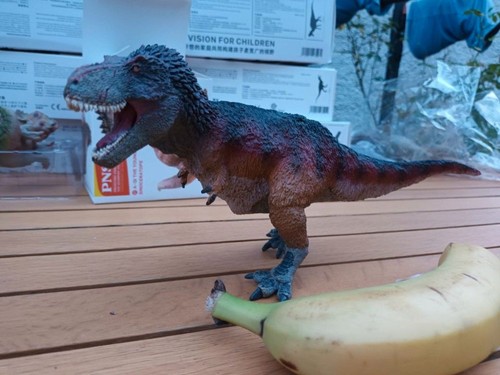 Stück dinosaurier - 13, x