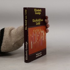 Ein Schiff aus Licht