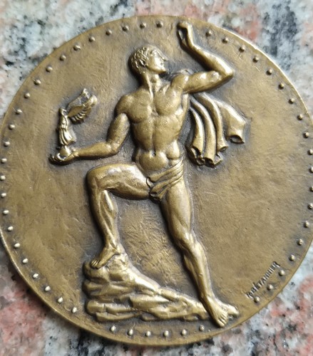 Bronzemedaille phenix - bronzemedaille,