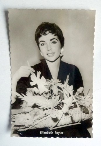 Liz taylor kolibri verlag - liz, kolibri-verlag