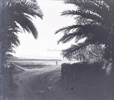 Maghreb Algerien C1900 Foto