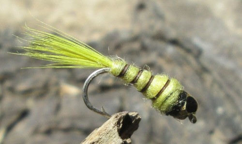 Gilchrist fliegen x - x, golden