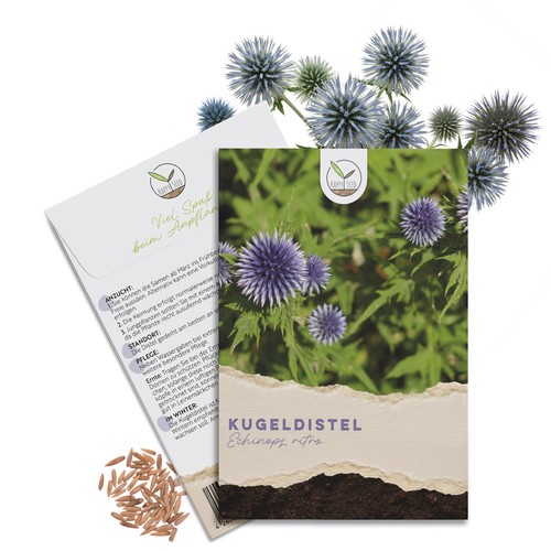Kugeldistel samen echinops - samen,