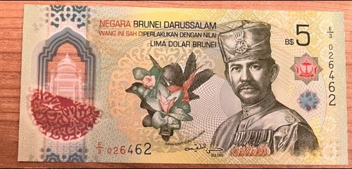 Brunei polymer banknoten - brunei,