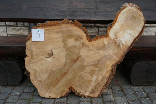 Baumscheibe holzscheibe - baumscheibe,