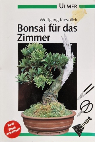 Bonsai für das zimmer wege - bonsai,