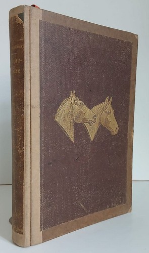Pferde biologie anatomie - biologie,
