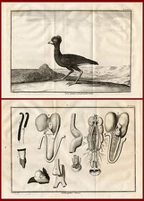 Antike drucke indischer - 2,