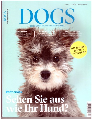 Dogs geschichten die nur - geschichten,