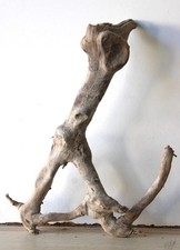 Treibholz Schwemmholz