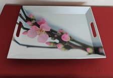 Tablett Emsa Tablett Melamin.  Serviertablett. Dekor aus Blütenknospen.