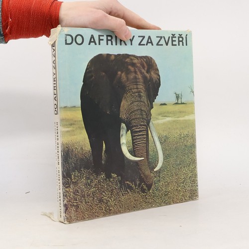 Afriky zvěří - afriky, zvěří 