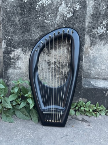 Schwarze saiten - schwarze,