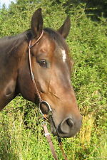 NEW! runde BioThane Einohrtrense, Einohr,Trense, Westerntrense, Kopfstück