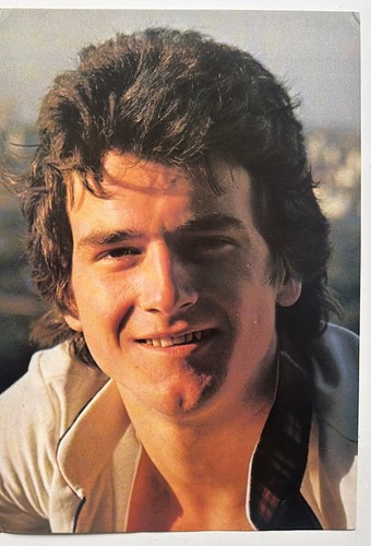 Les mckeown bay city - les, rollers